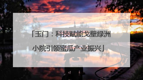 玉门：科技赋能戈壁绿洲 小院引领蜜瓜产业振兴