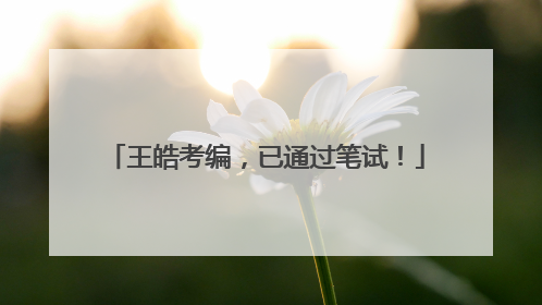 王皓考编，已通过笔试！