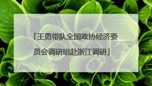 王勇带队全国政协经济委员会调研组赴浙江调研
