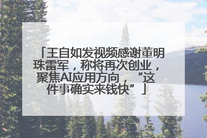 王自如发视频感谢董明珠雷军，称将再次创业，聚焦AI应用方向，“这件事确实来钱快”