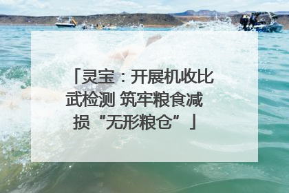 灵宝：开展机收比武检测 筑牢粮食减损“无形粮仓”