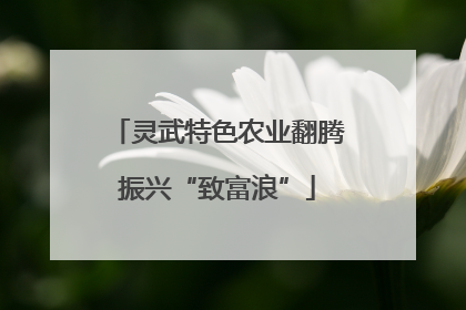 灵武特色农业翻腾振兴“致富浪”
