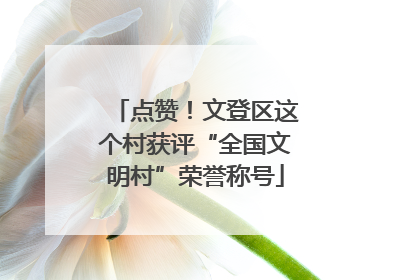 点赞！文登区这个村获评“全国文明村”荣誉称号