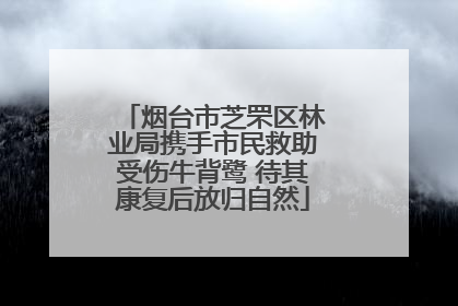 烟台市芝罘区林业局携手市民救助受伤牛背鹭 待其康复后放归自然