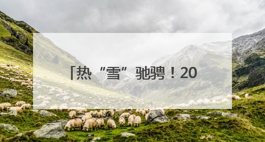 热“雪”驰骋！2025长三角青少年滑雪公开赛在沪举行