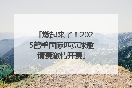 燃起来了！2025鹤壁国际匹克球邀请赛激情开赛