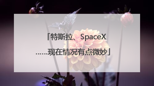 特斯拉、SpaceX……现在情况有点微妙
