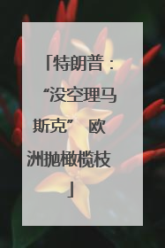 特朗普：“没空理马斯克” 欧洲抛橄榄枝