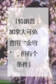特朗普：加拿大可免费用“金穹”，但有个条件