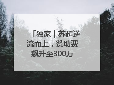 独家｜苏超逆流而上，赞助费飙升至300万，仍一席难求