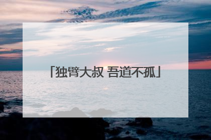 独臂大叔 吾道不孤
