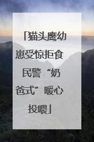 猫头鹰幼崽受惊拒食 民警“奶爸式”暖心投喂