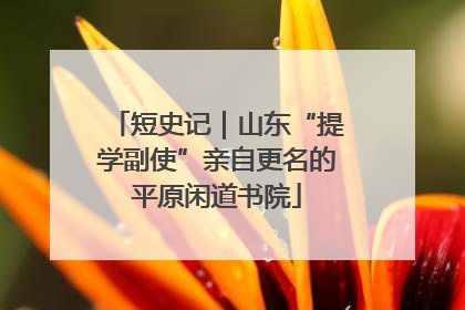 短史记｜山东“提学副使”亲自更名的平原闲道书院