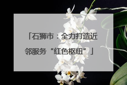石狮市：全力打造近邻服务“红色枢纽”