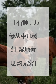 石狮：万绿丛中几树红 湿地荷塘韵无穷