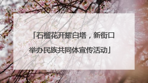 石榴花开耀白塔，新街口举办民族共同体宣传活动