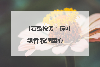 石鼓税务：粽叶飘香 税润童心