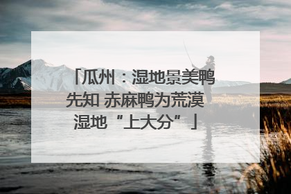 瓜州：湿地景美鸭先知 赤麻鸭为荒漠湿地“上大分”