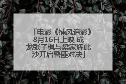 电影《捕风追影》8月16日上映 成龙张子枫与梁家辉此沙开启警匪对决