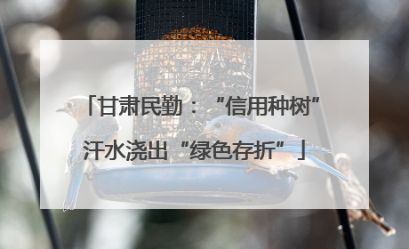 甘肃民勤：“信用种树” 汗水浇出“绿色存折”