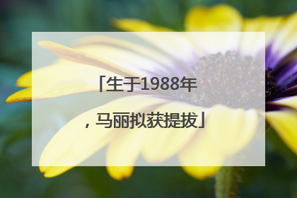 生于1988年，马丽拟获提拔