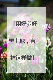 用好养好黑土地，吉林这样做