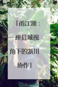 甬江潮：一座县域视角下的浙川协作