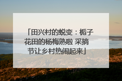 田兴村的蜕变：栀子花田的杨梅熟啦 采摘节让乡村热闹起来