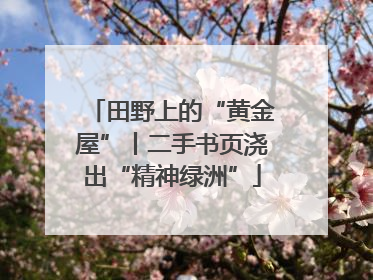 田野上的“黄金屋”丨二手书页浇出“精神绿洲”