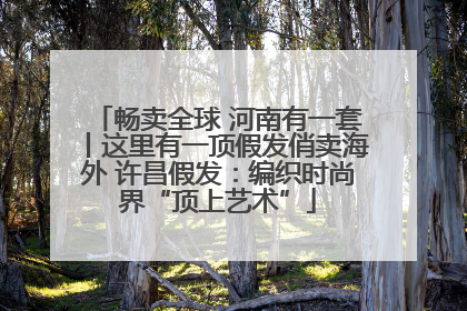 畅卖全球 河南有一套丨这里有一顶假发俏卖海外 许昌假发：编织时尚界“顶上艺术”