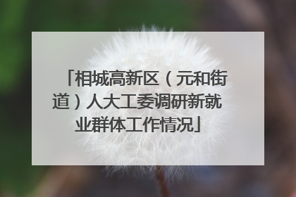 相城高新区（元和街道）人大工委调研新就业群体工作情况