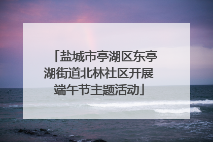 盐城市亭湖区东亭湖街道北林社区开展端午节主题活动