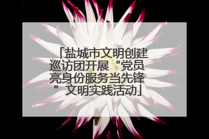 盐城市文明创建巡访团开展“党员亮身份服务当先锋”文明实践活动