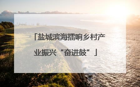 盐城滨海擂响乡村产业振兴“奋进鼓”