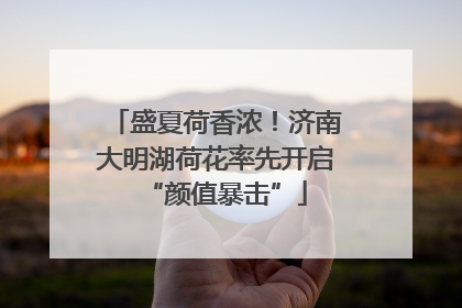 盛夏荷香浓！济南大明湖荷花率先开启“颜值暴击”