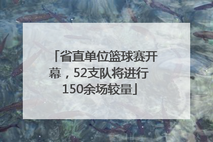 省直单位篮球赛开幕，52支队将进行150余场较量