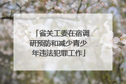 省关工委在宿调研预防和减少青少年违法犯罪工作