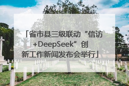 省市县三级联动“信访+DeepSeek”创新工作新闻发布会举行