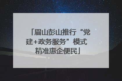 眉山彭山推行“党建+政务服务”模式 精准惠企便民