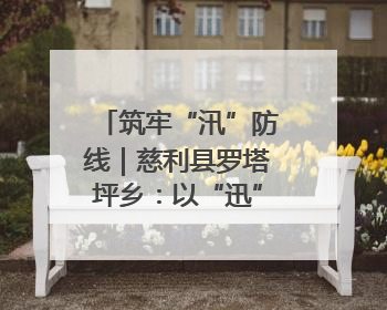 筑牢“汛”防线｜慈利县罗塔坪乡：以“迅”应“汛” 打赢暴雨防御战