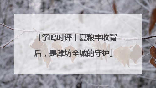 筝鸣时评丨夏粮丰收背后，是潍坊全城的守护