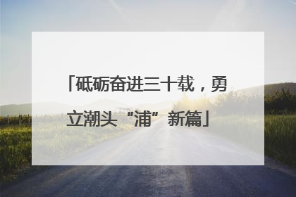 砥砺奋进三十载，勇立潮头“浦”新篇
