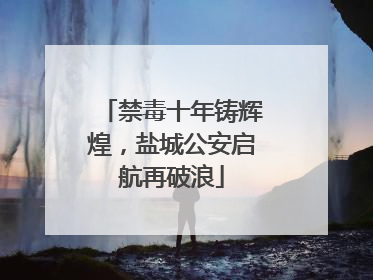 禁毒十年铸辉煌，盐城公安启航再破浪