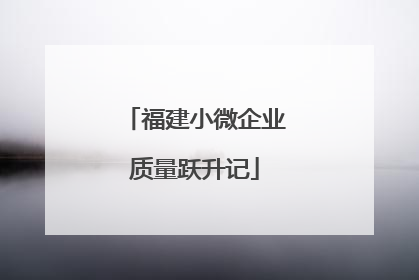 福建小微企业质量跃升记