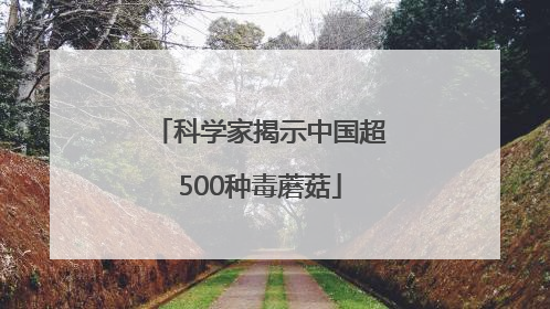 科学家揭示中国超500种毒蘑菇