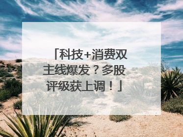 科技+消费双主线爆发？多股评级获上调！