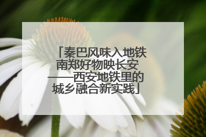 秦巴风味入地铁 南郑好物映长安——西安地铁里的城乡融合新实践