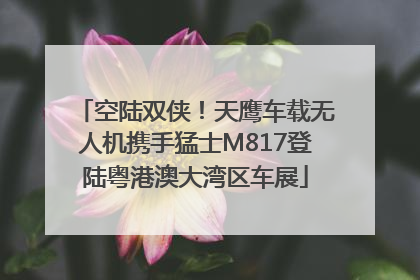 空陆双侠！天鹰车载无人机携手猛士M817登陆粤港澳大湾区车展
