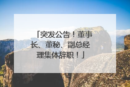 突发公告！董事长、董秘、副总经理集体辞职！