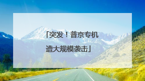 突发！普京专机遭大规模袭击